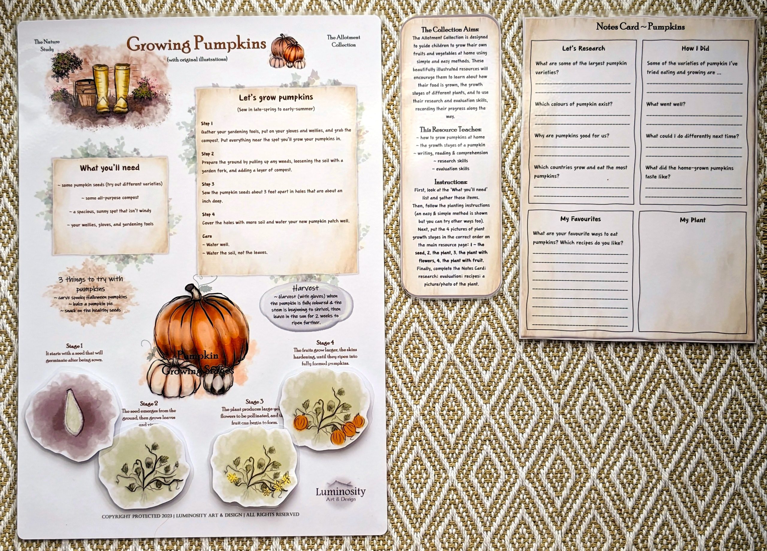 Growing Pumpkins - Image 3